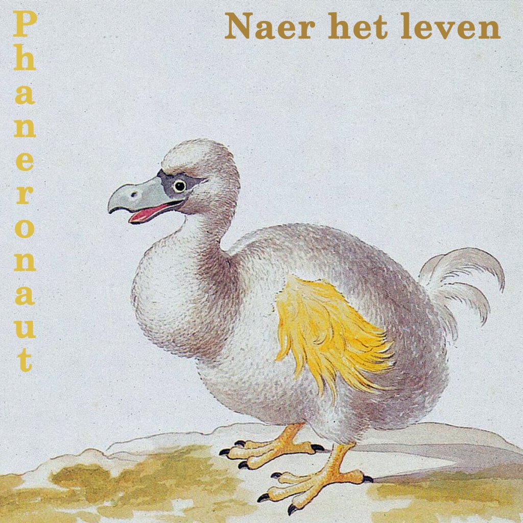 Naer het leven&nbsp;(2020)