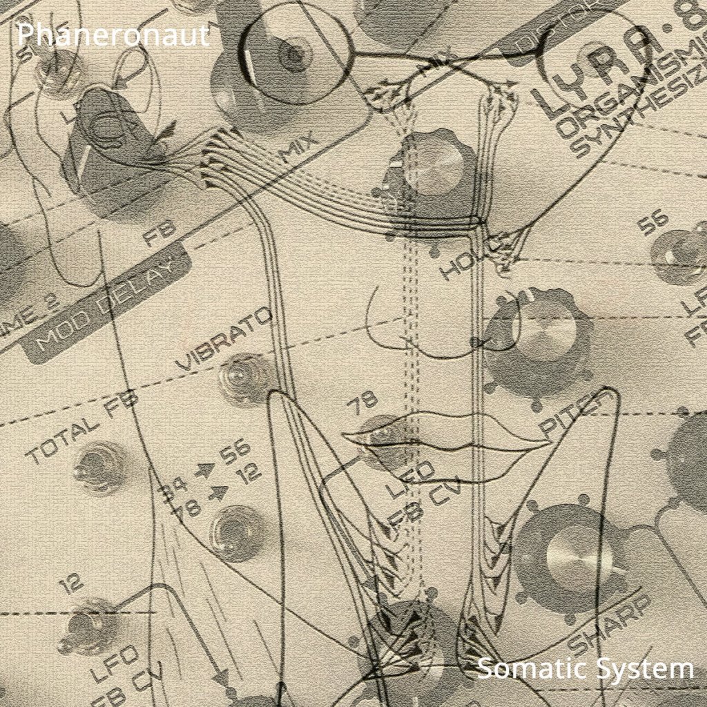 Somatic System (2019)